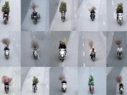 Bộ ảnh “Chở Tết về nhà” chụp trong một buổi chiều gây bão mạng