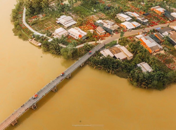 Làng hoa giấy đẹp mê ở Vĩnh Long dịp giáp Tết, khách vượt xa tới check-in - 1