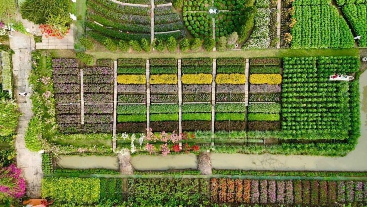 (Ảnh: Đi Cùng Phúc)