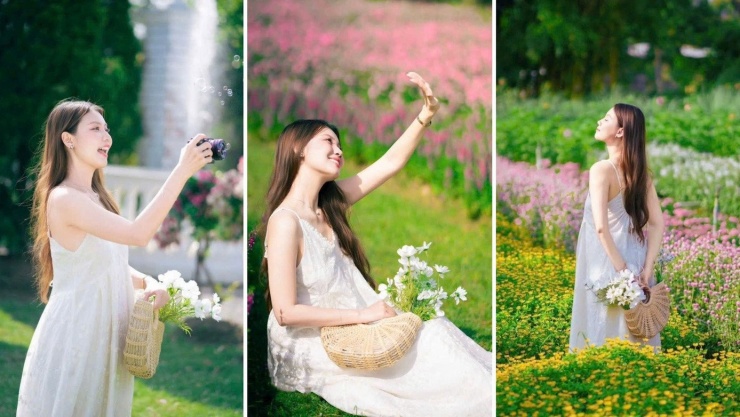 Khoảnh khắc 8 giờ sáng là thời điểm "vàng" để màu hoa lên hình rực rỡ nhất. (Ảnh: Huỳnh Nguyễn)