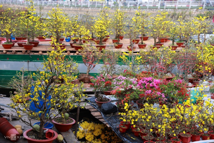 Chợ hoa trên bến dưới thuyền tấp nập ngày cận Tết - 4