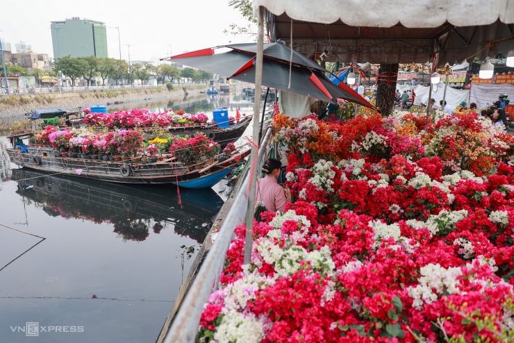 Chợ hoa trên bến dưới thuyền tấp nập ngày cận Tết - 5