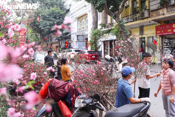 Các tuyến phố rực rỡ sắc đào, không khí xuân lan tỏa khắp nơi.