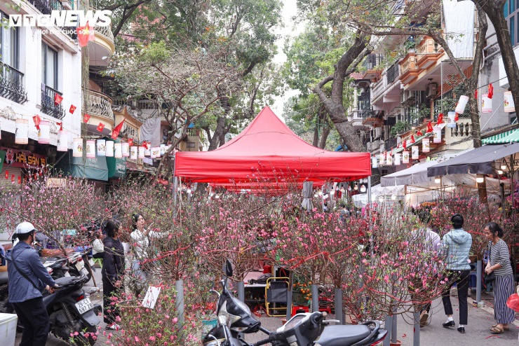 Tại chợ hoa Hàng Lược, đông đảo người dân đổ về tham quan, mua sắm, tạo nên không khí nhộn nhịp những ngày giáp Tết.