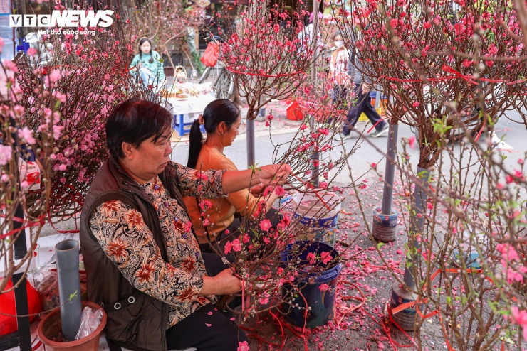 “Những ngày cuối năm, lượng khách đi chợ Tết tăng rõ rệt nên chúng tôi cũng nhập thêm nhiều đào để kịp phục vụ nhu cầu”, một tiểu thương cho biết.