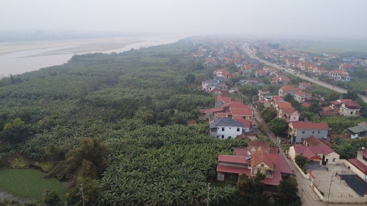 Những bãi bồi ở xã Bản Nguyên đầy ắp những vườn chuối xanh ngắt