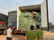 Phát hiện 2 xe tải chở gần 30 tấn vú heo, lạp xưởng nướng, lườn ngỗng đông lạnh không rõ nguồn gốc