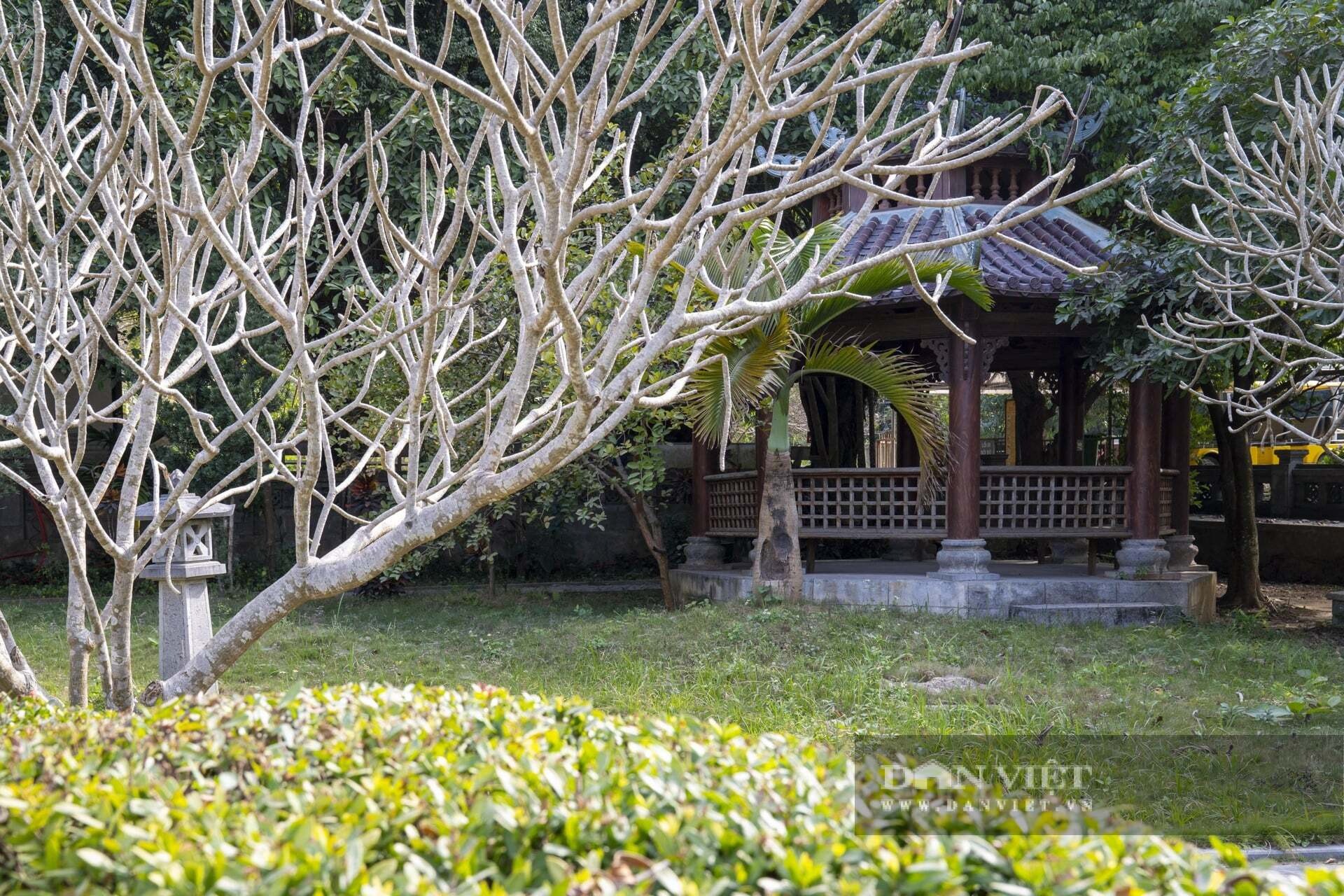 Bí ẩn Giếng Ngọc nghìn năm ở chùa Bái Đính: "Mắt rồng" khổng lồ không bao giờ cạn - 7