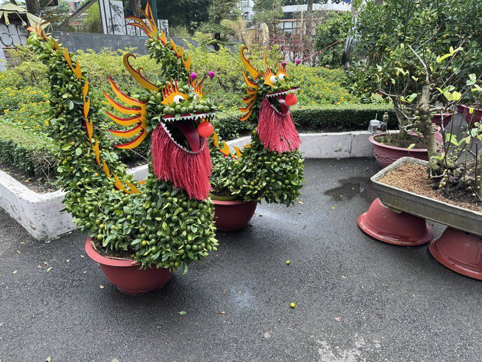 Cặp rồng kiểng có giá bán 4 triệu đồng