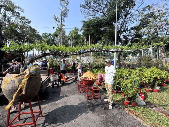 Mai chiếu thủy có dáng "lạ"