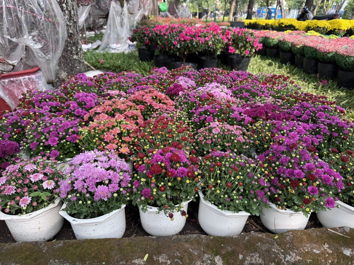 Nhiều hoa kiểng "độc lạ" tại các chợ hoa ở TPHCM - 13