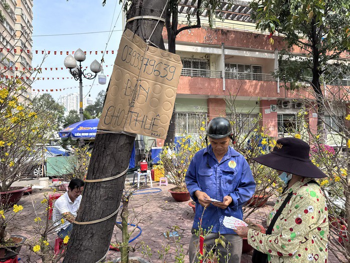 Một điểm bán và cho thuê mai ở phường An Khánh, TPHCM