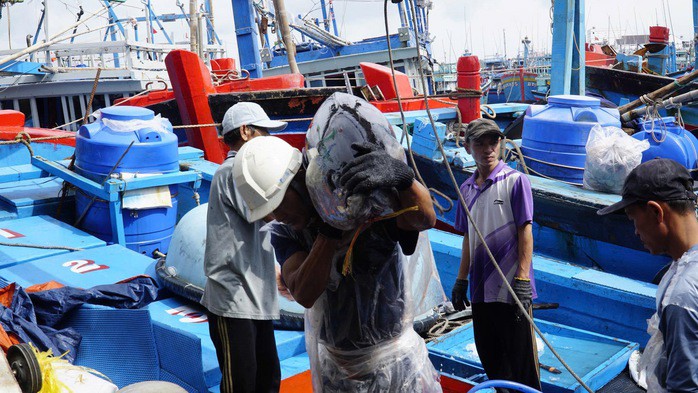 Ngư dân Gia Lai đưa cá ngừ đại dương lên bờ để bán cho thương lái
