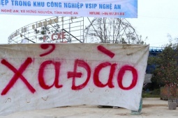 Quất sale đồng giá, đào xả kịch sàn vẫn vắng khách ngày 27 Tết