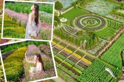 Vườn hoa Mãn Đình Hồng - địa điểm du Xuân "team miền Tây" không thể bỏ lỡ!