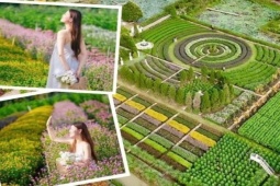 Vườn hoa Mãn Đình Hồng - địa điểm du Xuân "team miền Tây" không thể bỏ lỡ!