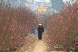 Dự báo thời tiết ngày 27 Tết: Người dân cần chú ý điều gì?