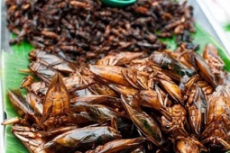 Món đặc sản "lạ” trong mâm tất niên khiến người đàn ông cầu cứu bác sĩ