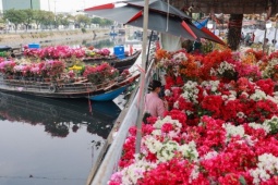 Chợ hoa trên bến dưới thuyền tấp nập ngày cận Tết