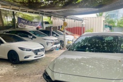 Thuê xe tự lái dịp Tết: Hết loại giá rẻ