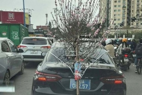 Phạt 23 triệu đồng tài xế ô tô buộc cành đào che lấp biển số
