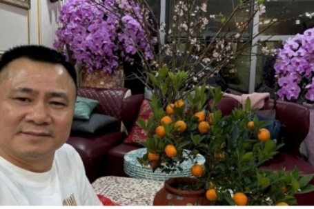 Sao Việt đi chợ hoa, trang hoàng nhà đón Tết Bính Ngọ