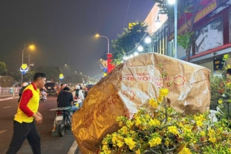 Chuyện thuê mai ngày Tết và những vui buồn ít ai thấu hiểu