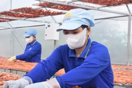 Giá tăng vù vù, đặc sản Cà Mau không có mà bán