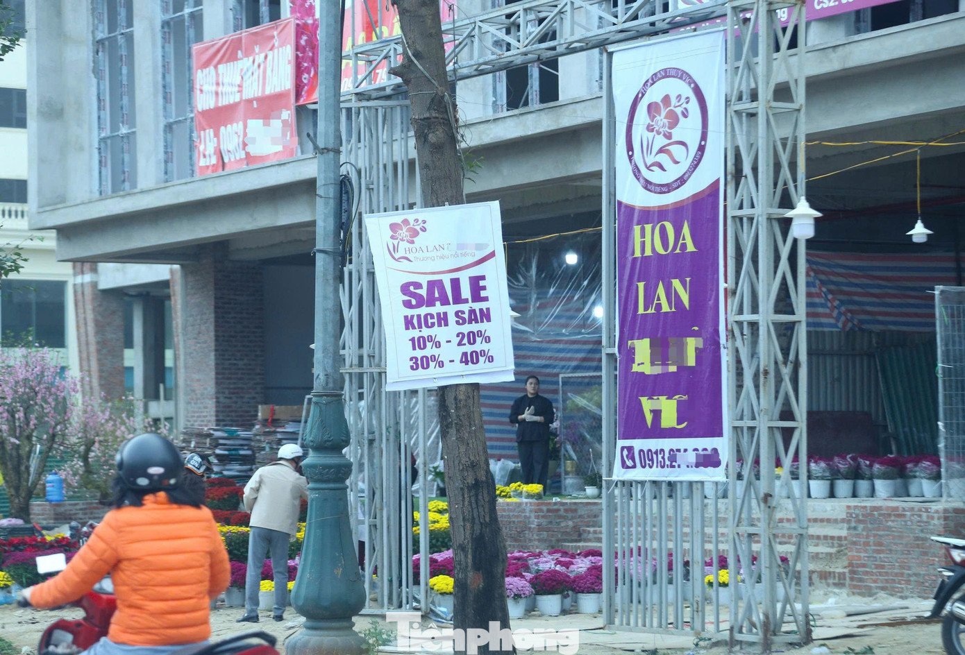 Quất sale đồng giá, đào xả kịch sàn vẫn vắng khách ngày 27 Tết - 8