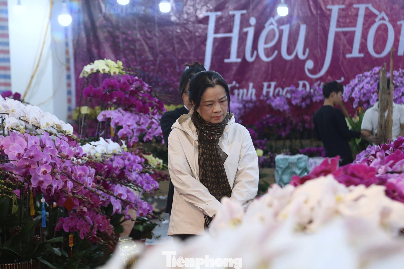 Quất sale đồng giá, đào xả kịch sàn vẫn vắng khách ngày 27 Tết - 9