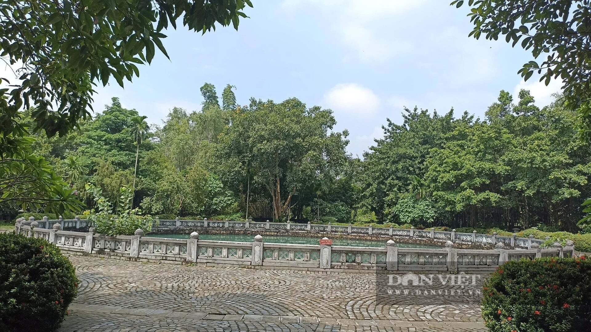 Bí ẩn Giếng Ngọc nghìn năm ở chùa Bái Đính: "Mắt rồng" khổng lồ không bao giờ cạn - 2