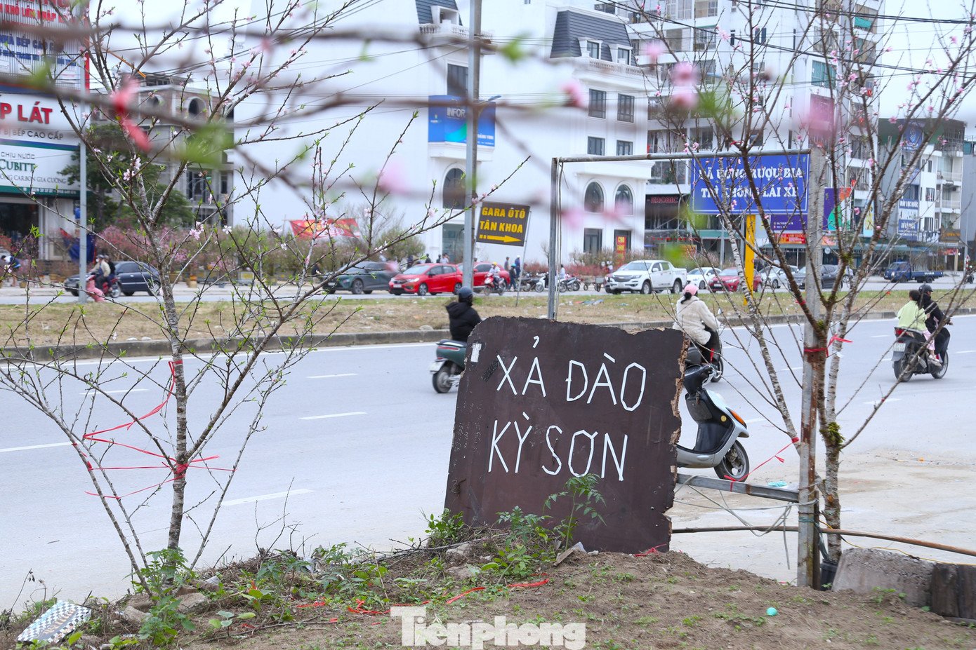 Quất sale đồng giá, đào xả kịch sàn vẫn vắng khách ngày 27 Tết - 12