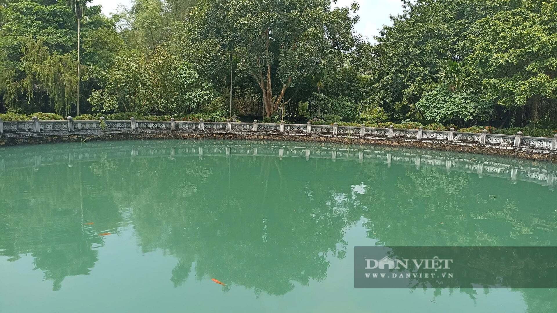 Bí ẩn Giếng Ngọc nghìn năm ở chùa Bái Đính: "Mắt rồng" khổng lồ không bao giờ cạn - 3