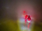 Vợ chồng vượt 600km bằng xe máy về quê ăn Tết và món quà xúc động sau lưng