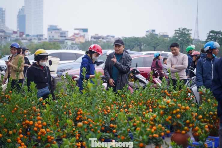 Giá đào, quất chiều 27 Tết giảm khoảng 20–30%. Trong đó, các loại quất mini đồng giá từ 20.000 đồng/chậu đặc biệt hút khách nhờ giá rẻ, dễ vận chuyển.