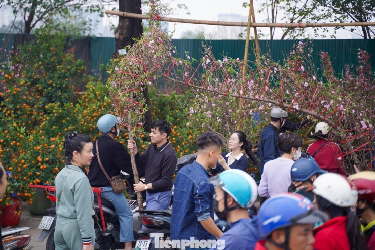 Tiểu thương luôn tay cắt tỉa, đóng gói để phục vụ khách muốn nhận cây ngay trong ngày.