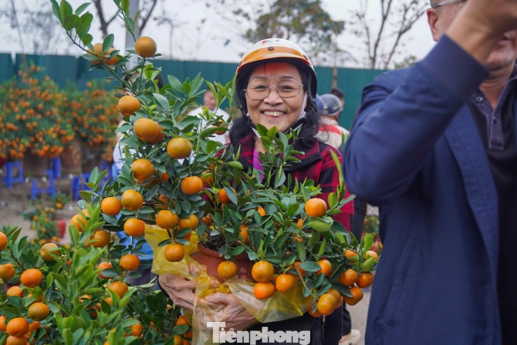 "Tôi mua chậu quất này giá 200.000 đồng, rất phù hợp", người phụ nữ chia sẻ.