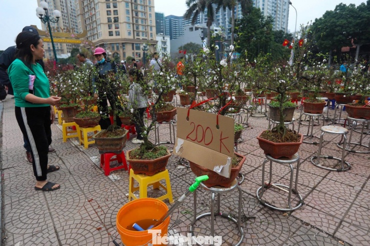 Chiêu bài "đồng giá", "xả hàng" được nhiều tiểu thương áp dụng triệt để chiều 27 Tết nhằm hút khách và đẩy hàng tồn.