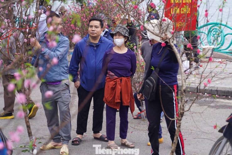 Bà Mai Liên (tiểu thương bán đào) cho biết: “Hôm nay đã là 27 Tết, chỉ còn 2 ngày nữa là đến giao thừa. Chúng tôi treo biển giảm giá để bán nhanh, thu hồi vốn và sớm dọn hàng về nhà chuẩn bị đón Tết cùng gia đình".