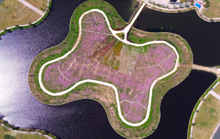 Đảo hoa cánh bướm lớn nhất Cà Mau tấp nập khách du xuân - 1