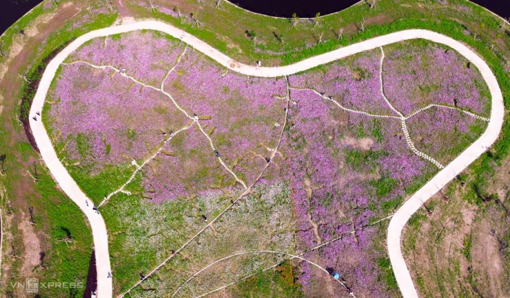 Đảo hoa cánh bướm lớn nhất Cà Mau tấp nập khách du xuân - 5