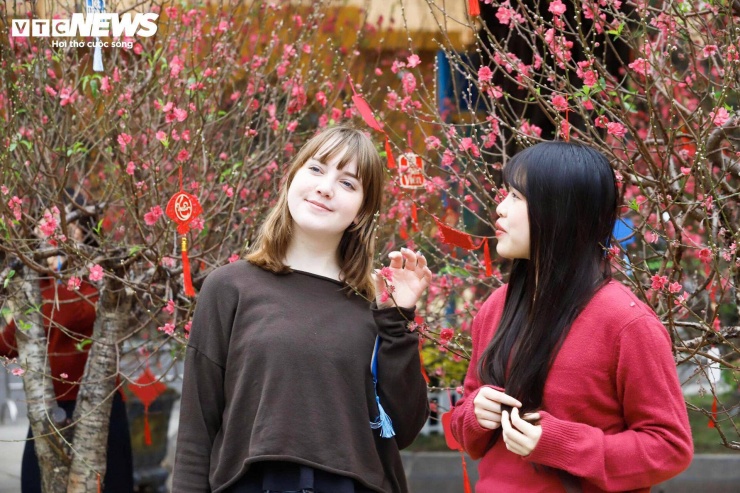 Các cụm hoa được sắp xếp theo từng mảng rõ ràng, xen kẽ lối dạo và tiểu cảnh, tạo thuận lợi cho người dân tham quan và chụp hình.