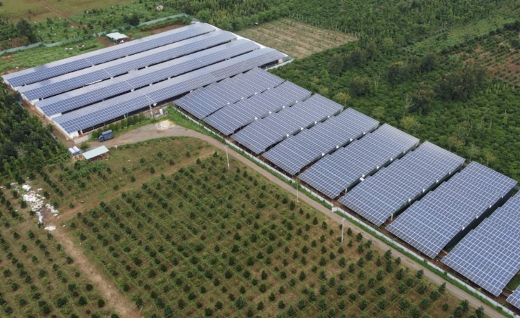 Hệ thống điện mặt trời phủ kín trên mái nhà khu vực chuồng trại chăn nuôi gà. Ảnh: MH/NTNN