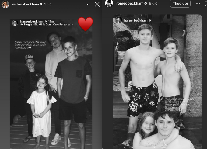 Harper thể hiện tình cảm với các anh trai giữa mâu thuẫn gia đình - 1