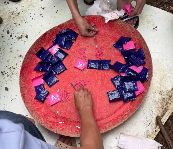 Cơ quan điều tra phân loại ma túy trong chuyên án