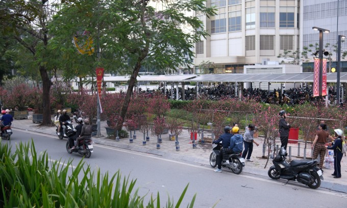 Lượng cành đào, cây quất còn khá nhiều trên đường Lạc Long Quân cuối chiều 14/2 (27 tháng Chạp). Ảnh: Anh Tú