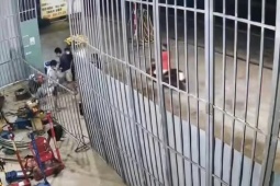 Nhóm 8 thanh niên đuổi chém, cướp tài sản của người đàn ông trên đường về quê