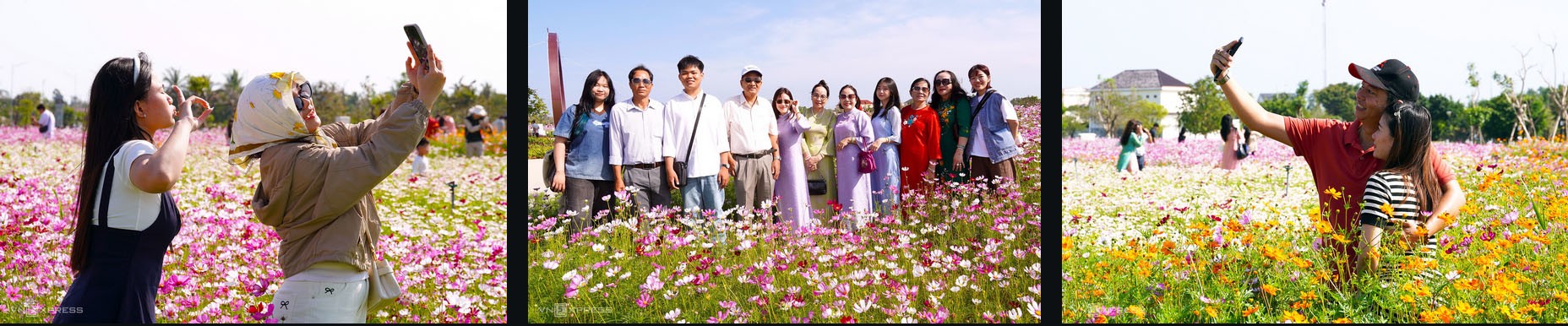 Đảo hoa cánh bướm lớn nhất Cà Mau tấp nập khách du xuân - 4