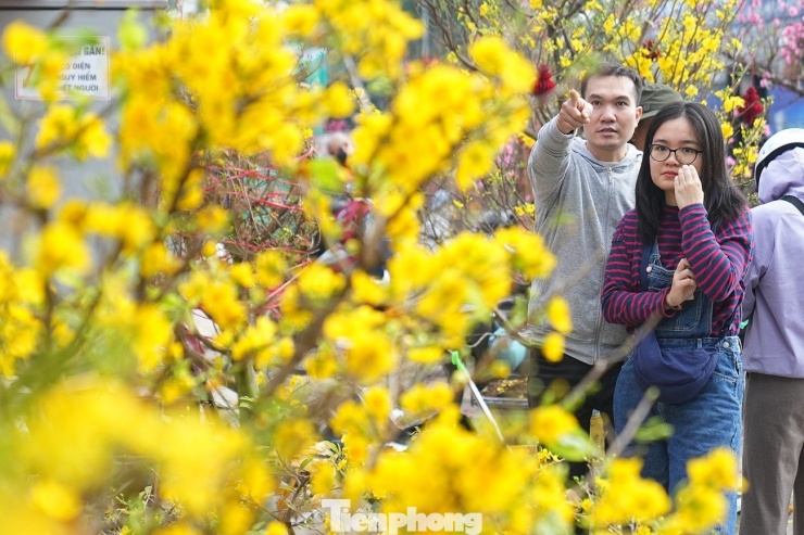 "Những ngày đầu còn không bán được cây nào, sau khi giảm giá còn nửa thì bán được một ít, chủ yếu khách mua những chậu cây nhỏ", tiểu thương này chia sẻ.