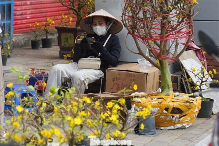 Tiểu thương bán mai vàng "ngồi chơi xơi nước", chờ khách mua.